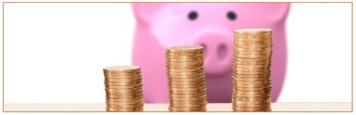 fiscal setp 20