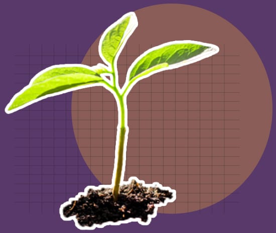 developper votre entreprise