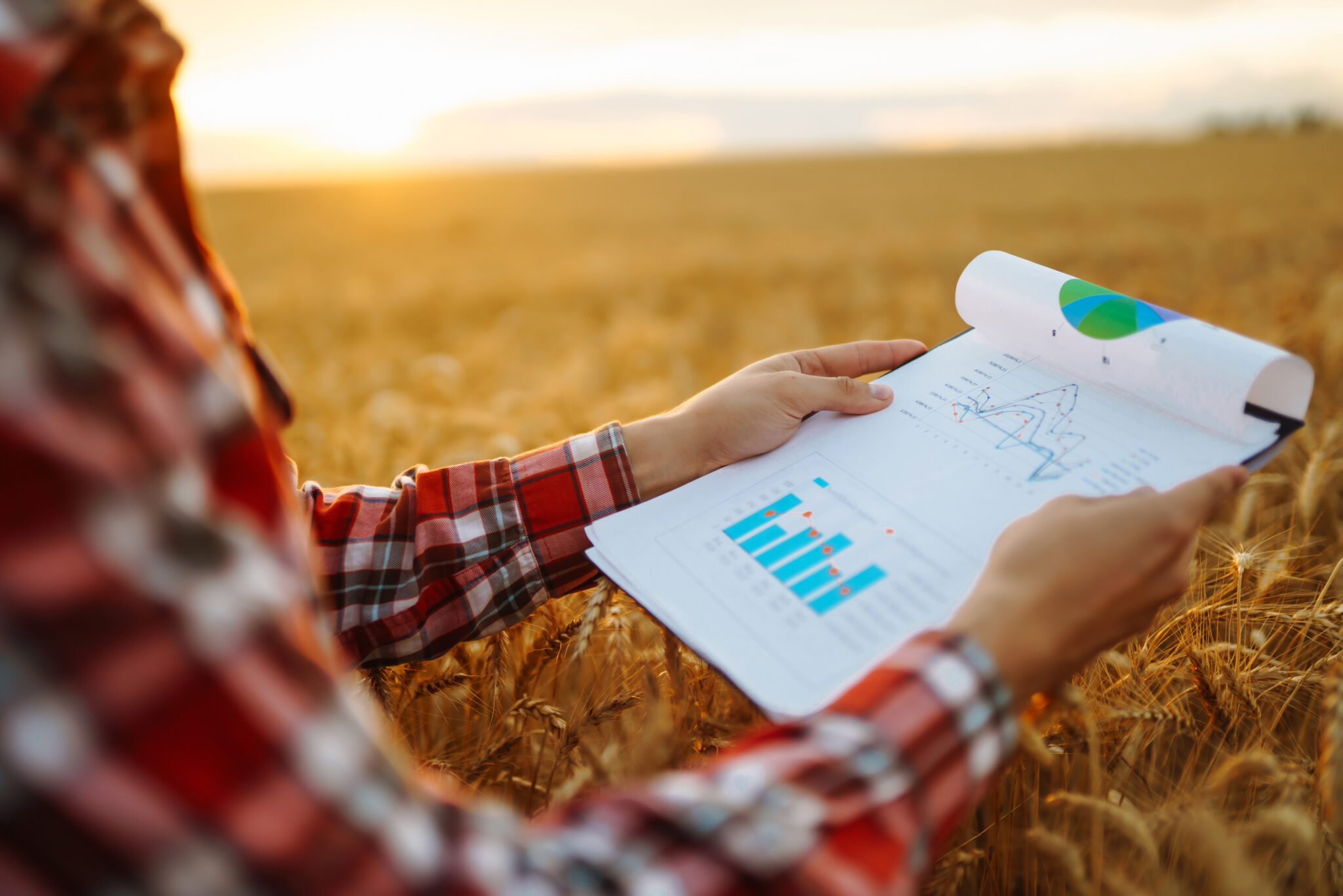 closeup farmer watching some charts growth dynamics agricultural growth farming concept scaled