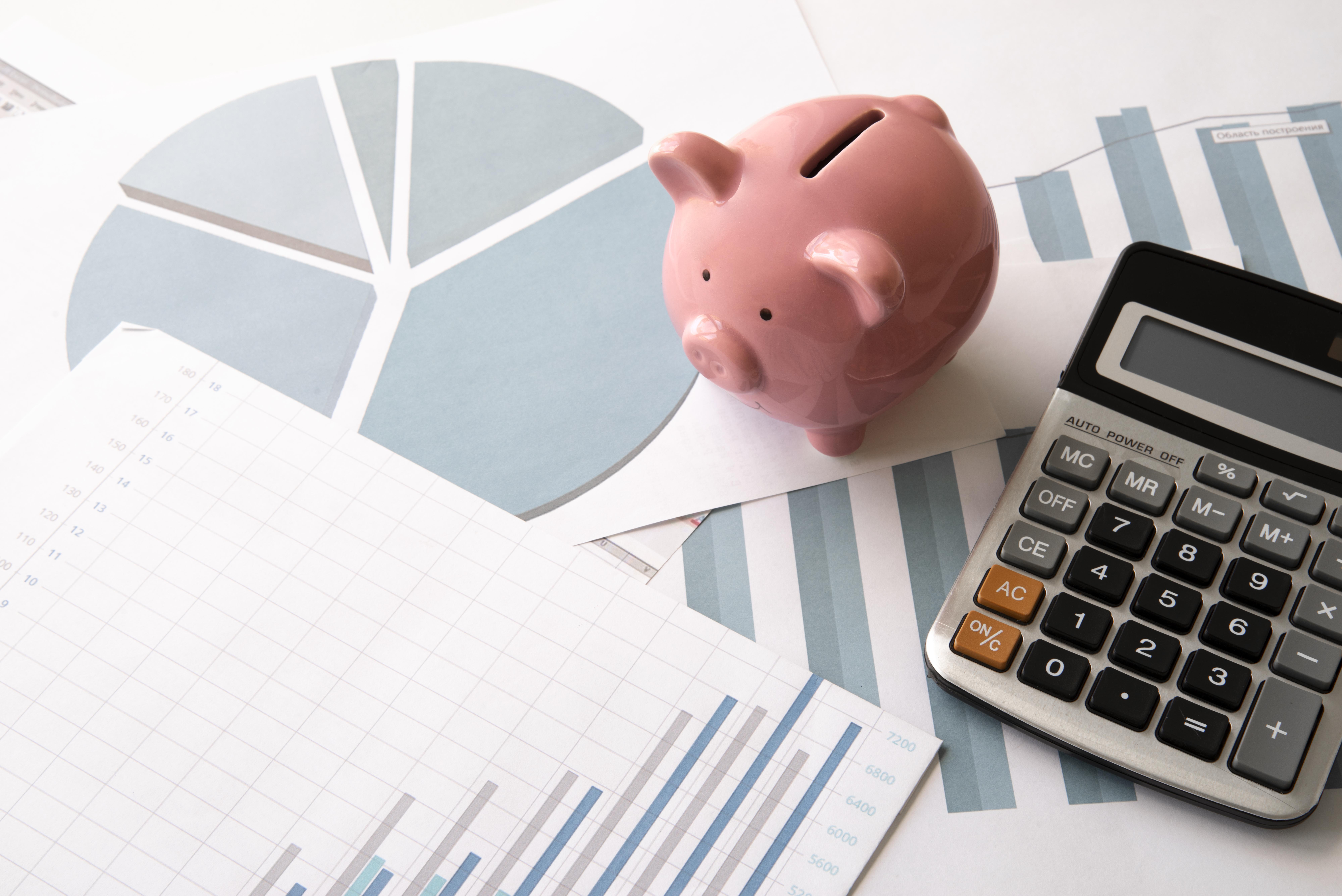 LOI DE FINANCES PARTICULIERS