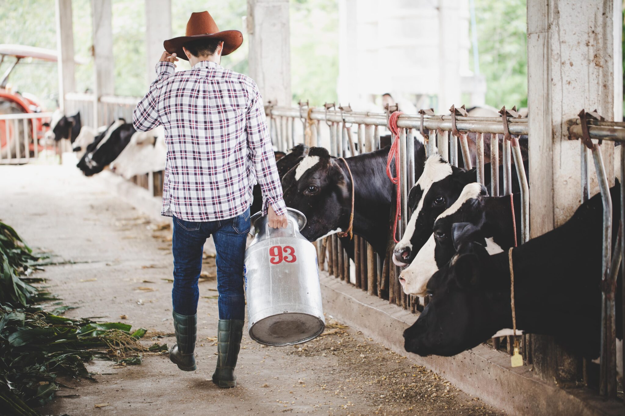 Déduction pour augmentation de la valeur des stocks de vaches laitières 1 vache min scaled