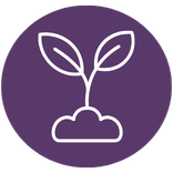 developper